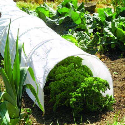 Kweekbenodigdheden Kweekkasjes en kweekbakken Kweektunnels Folietunnels Kweektunnel met wit vliesdoek 3.1x0,50 m Kweektunnel met helder folie 3.1x0,50m.  (TP886009)